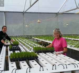 Tubes de culture agricoles à canal NFT Goulet hydroponique vertical Tuyaux de culture de légumes en PVC <span class=keywords><strong>Laitue</strong></span> et herbes aromatiques - Product Image 6