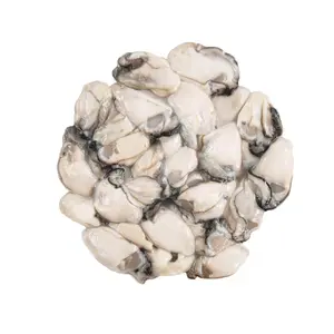 Fresh Frozen High Quality Shelled Oyster Meat Hot Selling Delicious Seafood Factory Wholesale Shellfish Shellless Sea Oysters