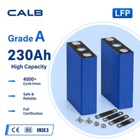 Cellule de batterie LiFePO4 CALB 230Ah 3.2V Grade A, Expédition directe en conteneur 4000 unités pour grand projet de véhicules électriques, Commande en gros