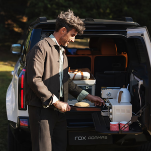 <span class=keywords><strong>ROX</strong></span> 01 2025, SUV di Lusso Grande, Polestone 01, Doppio Motore 4WD, Autonomia Estesa, 5 Porte, 6 Posti, Batteria al Litio, Auto Nuova VIP, Prezzo di Stock - Product Image 5