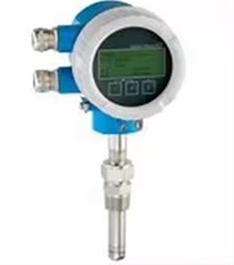 Débitmètre massique thermique E+H 65F haute performance et de qualité supérieure - Product Image 5