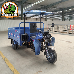 <span class=keywords><strong>Triciclo</strong></span> <span class=keywords><strong>de</strong></span> <span class=keywords><strong>Carga</strong></span> Motorizado <span class=keywords><strong>de</strong></span> Cinco Ruedas a Gasolina con Caja <span class=keywords><strong>de</strong></span> Descarga Automática, Motor Refrigerado por Agua <span class=keywords><strong>de</strong></span> Alta Eficiencia >250cc, 400kg - Product Image 3