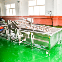 Ligne de machines à laver les fruits et légumes à bulles d'air pour avocat et mangue avec équipement de séchage et de déshydratation pour le nettoyage des légumes