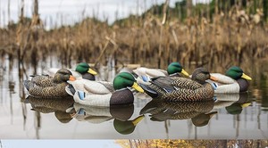 Esche da caccia per anatre in plastica all'aperto stampo per esche animali per la caccia alle anatre - Product Image 6
