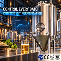 Fermenteur conique en acier inoxydable sur mesure à haute efficacité avec chemise de refroidissement pour la brasserie commerciale