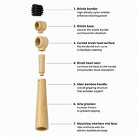Brosse à dents électrique en bambou à poils de sanglier 100 % naturels, tête remplaçable, compatible Oral-B, pour enfants et usage hôtelier – Vente chaude
