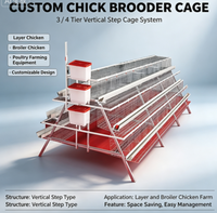Cages d'élevage personnalisées pour poulets, à trois/quatre niveaux, à escalon vertical, multi-portes, pour poules pondeuses et poulets de chair, pour l'élevage avicole