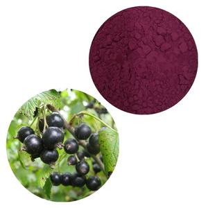 Bubuk Ekstrak <span class=keywords><strong>Black</strong></span> <span class=keywords><strong>Currant</strong></span> untuk Jus dan Penggunaan Makanan, Larut dalam Air dan dengan Standar Tinggi Antosianin - Product Image 1
