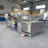 Automatische belletjesreinigingsmachine voor voedselverwerking, kipreiniging, rozijnreiniging en groentewasoplossing