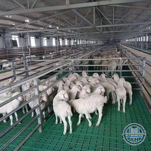 Establos Modernos de Acero para Ovejas, Estructura Metálica para Ganado, con Certificación CE e ISO - Product Image 1