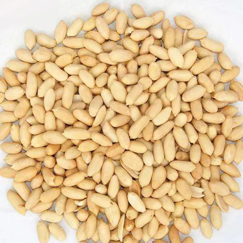 Qualidade premium atacado da mais alta qualidade 100% natural frito torrado salgado amendoim dividir grãos nova colheita amendoim menor preço