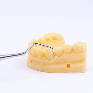 Doppio esploratore sonda dentale in acciaio inox strumenti parodontali per diagnosi orale terapia attrezzature e accessori - Product Image 6