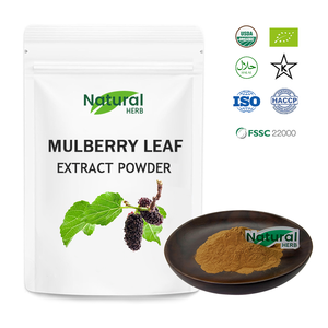 Thực phẩm tự nhiên lớp lá dâu tằm chiết xuất bột Hoang Dã trồng Nhà Máy Giá Hot Bán lá dâu tằm flavonoid - Product Image 4