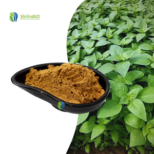 Estratto di Nepeta Cataria Idrosolubile di Grado Alimentare 10:1 20:1 - Product Image 1