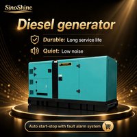 Générateur diesel SinoShine 20KW triphasé 380V monocylindre refroidi par eau, démarrage électrique, groupe électrogène CE ISO