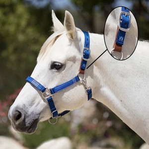 Tapis de cheval personnalisés de haute qualité corde de plomb Durable confortable équipement équestre professionnel PVC enduit Nylon sangle lumières - Product Image 5
