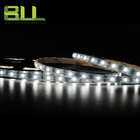 Tira de luces LED IP65 SMD 3528 60led/M, tira led flexible 6000K DC12V, cinta de luz LED impermeable para uso en exteriores