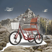 Petit tricycle de fitness, vélo tout-terrain, vélo de ville, mini quad, vélo de montagne, vélo de terre, cadre en acier, freins à disque, vitesse unique