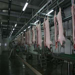 Varken Slachten Huis Apparatuur Met Varkensvlees Productielijn Abattoir - Product Image 1