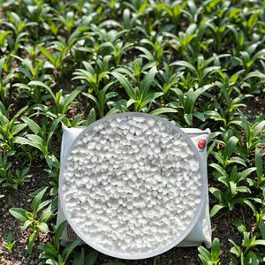 50 ק "ג אמוניום גרנולרי סולפט (nh4) 2 s4 עשיר חנקן עשיר עבור בריאות יבול לשיפור קרקע - Product Image 2
