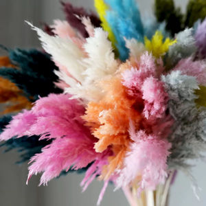 Petit roseau séché décoratif fleur pampa herbe séchée fleur <span class=keywords><strong>mariage</strong></span> décoration accessoires préservé <span class=keywords><strong>bouquet</strong></span> de fleurs VP-YNYB001 - Product Image 3