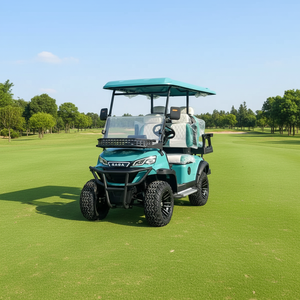 Voiturette de golf électrique au lithium personnalisable 4 places 48 V de qualité supérieure avec personnalisation gratuite de la couleur et du logo pour usage en resort ou sur le parcours - Product Image 1