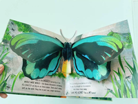Livre pop-up 3D personnalisé à couverture rigide pour enfants, livre d'anglais à feuilles mobiles, jouet pour jeunes enfants, livre d'art en carton, impression numérique sur film