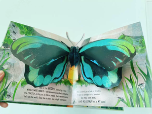 <span class=keywords><strong>Livre</strong></span> pop-up 3D personnalisé à couverture rigide pour enfants, <span class=keywords><strong>livre</strong></span> d'anglais à feuilles mobiles, jouet pour jeunes enfants, <span class=keywords><strong>livre</strong></span> d'art en carton, impression numérique sur <span class=keywords><strong>film</strong></span> - Product Image 6
