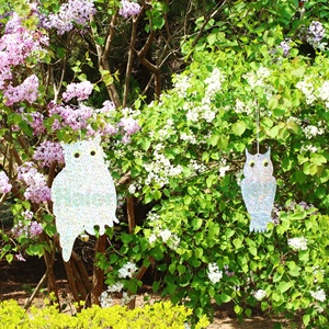 Haierc Chasse-oiseaux réfléchissant suspendu double face à laser, anti-pigeons, pour le contrôle des oiseaux - Product Image 3