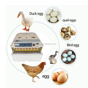 Incubateur <span class=keywords><strong>Janoel</strong></span> 96 certifié CE, capacité 100 œufs de poule, incubateurs à œufs pour 1000 œufs, usage domestique - Product Image 6