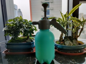 2L <span class=keywords><strong>3L</strong></span> ручной опрыскиватель под давлением для сада - Product Image 4