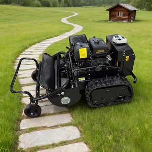 Pequeño Control Remoto Crawler Mini Cortador de Césped Motor de Gasolina Mayal Venta Caliente Personalizado Bajo Costo Drone Cortacésped - Product Image 3