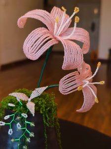 Belleza Resistente al Desierto: Orquídeas Perlas Eternas que No Necesitan Agua. - Product Image 3