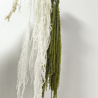 2024 Fabriek Hete Verkoop Geconserveerde Amaranthus Gedroogde Bloemen Diy Bloemen Opknoping Boeketten Feest Arrangement Bruiloft