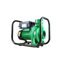 Pompe à eau solaire de surface DC 2HP 110V à haut débit, 2 pouces, 1500W, pour l'irrigation agricole