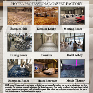 Moquette Axminster sur mesure professionnelle pour hôtels, moquette murale de luxe pour hôtels, cinémas et restaurants - Product Image 6