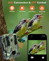 Viseur thermique extérieur BSTCAM avec connexion par point et version WiFi, contrôle par application, vidéo 4K 48MP, portée IR 30m/92ft, pour la chasse manuelle sans fil