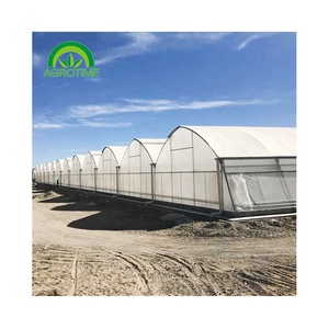 Invernadero de techo de mariposa Ventilación mejorada Estructura duradera Acero galvanizado Disponible <span class=keywords><strong>Agricultura</strong></span> <span class=keywords><strong>hidropónica</strong></span> pequeña y grande - Product Image 4