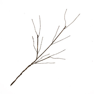 Branches artificielles au toucher sec Modèle GSZ-351 pour la décoration florale de mariages et d'hôtels - Product Image 5