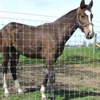 Clôture de ferme, de ranch, de champ extérieur, en fil de fer galvanisé tissé, pour l'isolement du bétail