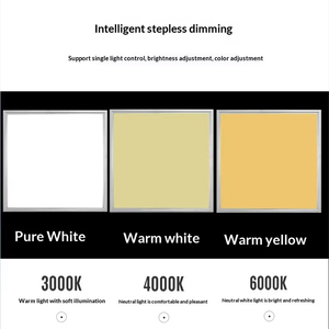 बैकलाइट मानक आकार स्मार्ट dimmmable कार्यालय कारखाना 3000k-6000k स्मार्ट मोशन सेंसर रेफ़र्ड पैनल लाइट निर्माता - Product Image 5