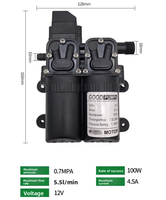 Pompa Diafragma Sprayer Pompa Bolak-balik Pompa Cuci Mobil DC Kecil Pompa Diafragma Ganda Reflux DP-X Elektrik