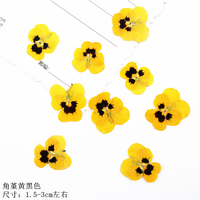 Fleurs séchées pressées en gros, véritables fleurs naturelles de primula pressées pour la fabrication de colliers en résine, la décoration de coques de téléphone et de nail art