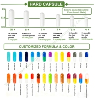 Capsules de Nutrition Quotidienne pour Hommes à Base de Plantes, Marque Privée OEM en Gros, Compléments Alimentaires Naturels à Base de Plantes pour une Vitalité et une Énergie Quotidiennes Accrues
