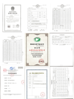 Outil de moxibustion électrique Gua Sha en pierre Bian, ODM OEM, pour usage commercial et domestique, massage Moxa, déblocage corporel complet