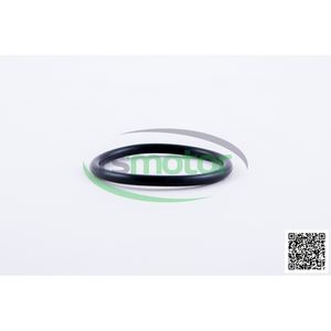 Joint torique OEM pour RS-01179647 MWM pour moteur à gaz naturel Pièces de machines neuves - Product Image 1