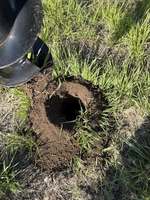 Mini-excavatrice avec accessoire de tarière hydraulique, pelle à trous, perceuse de sol pour la plantation d'arbres et l'installation de clôtures
