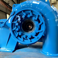 Petite turbine hydraulique électrique Francis renouvelable de haute qualité 1 mégawatt 5MW générateur réversible à vendre