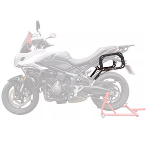 Porte-bagages latéral pour <span class=keywords><strong>moto</strong></span> <span class=keywords><strong>Triumph</strong></span> Trident 660, porte-bagages pour sacoches, porte-bagages supérieur et porte-bagages arrière en alliage d'aluminium, pièces de modification - Product Image 1