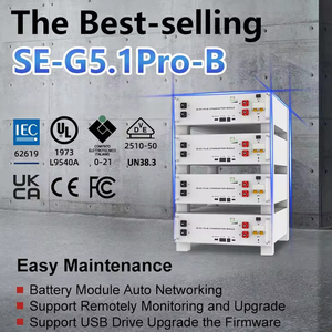 SHENHAUR SH-821 7kWh Zonne-energiesysteem LiFePO4 51.2V 100Ah 5.12kWh Energieopslag Laagspannings Solid State Batterijen 6000 - Product Image 6